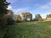 Parduodamas žemės sklypas Pasvalyje, sodų - nuotraukos Nr. 2