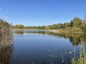 Parduodamas žemės sklypas prie Ežeriekų ežero - nuotraukos Nr. 5