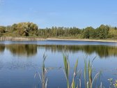 Parduodamas žemės sklypas prie Ežeriekų ežero - nuotraukos Nr. 6