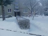 Parduodame buta labai gražioje vietoje