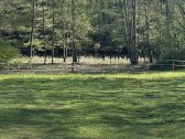 Parduodu sklypa prie Niedos upes kuris uz 100 - nuotraukos Nr. 3