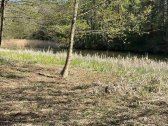 Parduodu sklypa prie Niedos upes kuris uz 100 - nuotraukos Nr. 4
