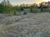 Vilniuje, Lentvario gatvėje (Lentvaris: - nuotraukos Nr. 5
