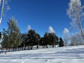 Parduodami 6 išskirtiniai namų valdos sklypai - nuotraukos Nr. 40