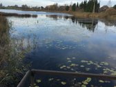 Parduodama dalis (3,2ha) Limino ežero ir 0 - nuotraukos Nr. 2