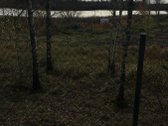 Parduodama dalis (3,2ha) Limino ežero ir 0 - nuotraukos Nr. 6