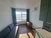 Nuomojamas Šviesūs Bei Jaukūs Studijos Tipo 1