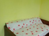 Parduodamas didelis sklypas (13a.) su namu - nuotraukos Nr. 4
