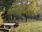 Lazdijų r. sav., Sakniavos k. - nuotraukos Nr. 4