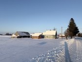 Parduodama sodyba kaime be tarpininku, aplink