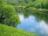 Parduodamas unikalus miškų ūkio sklypas