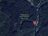 Parduodamas unikalus miškų ūkio sklypas - nuotraukos Nr. 4