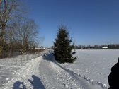 Parduodami keturi žemės sklypai adresu - nuotraukos Nr. 4