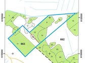 19,8 Ha Ąžuolynas Radviliškio Rajone  - nuotraukos Nr. 3