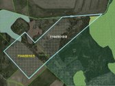 19,8 Ha Ąžuolynas Radviliškio Rajone  - nuotraukos Nr. 2