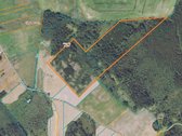 19,8 Ha Ąžuolynas Radviliškio Rajone 