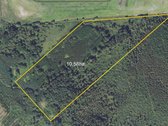 19,8 Ha Ąžuolynas Radviliškio Rajone  - nuotraukos Nr. 5