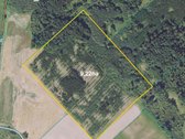 19,8 Ha Ąžuolynas Radviliškio Rajone  - nuotraukos Nr. 4