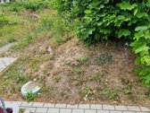 Parduodams sklypas miesto centre. Patogi - nuotraukos Nr. 2