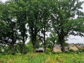 Parduodams sklypas miesto centre. Patogi - nuotraukos Nr. 6