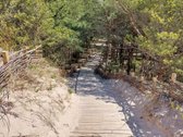 Naujai įkurtos trys vilos „Sweet villa“ yra - nuotraukos Nr. 40