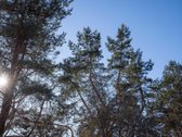 Valakampiai – tai Vilniaus vieta, kur miesto - nuotraukos Nr. 10