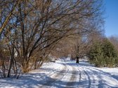 Valakampiai – tai Vilniaus vieta, kur miesto - nuotraukos Nr. 11