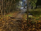 Parduodamas Namas Šalia Verkių Regioninio Parko - nuotraukos Nr. 26