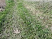 Parduodamas 6,83 ha, žemės ūkio sklypas. Žemė - nuotraukos Nr. 2