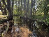 Parduodamas išskirtinis 3,2157 ha sklypas su - nuotraukos Nr. 6