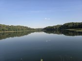Parduodami Išskirtiniai Sklypai Prie Asvejos - nuotraukos Nr. 6