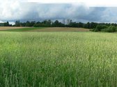 Parduodamas 1 ha namų valdos sklypas Širvintų - nuotraukos Nr. 6