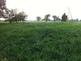 Parduodamas 1 ha namų valdos sklypas Širvintų - nuotraukos Nr. 7