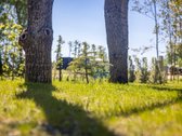 Pamario Vilos komplekse parduodami pilnai - nuotraukos Nr. 11