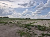 Betonuota, asfaltuota aikštelė - nuotraukos Nr. 3