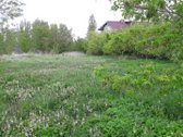 Parduodamas 25,50 a žemės sklypas Kėdainiuose - nuotraukos Nr. 2