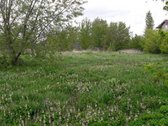 Parduodamas 25,50 a žemės sklypas Kėdainiuose - nuotraukos Nr. 5