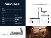 Butas Nr. 77 – panoraminiai vaizdai į parką - nuotraukos Nr. 4