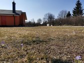 Parduodama sodyba ramioje ir vaizdingoje - nuotraukos Nr. 9