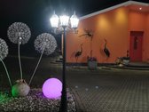 Parduodama sodyba ramioje ir vaizdingoje - nuotraukos Nr. 17