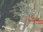 Bendra Informacija: