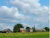 Parduodama sodyba Kelmės r. sav., Pakražančio - nuotraukos Nr. 7
