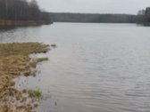0,71 ha sklypas su 130 m pakrante prie Želvos - nuotraukos Nr. 4