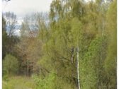 Parduodamas 80 arų , žemes ūkio paskirties - nuotraukos Nr. 5