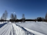 Namų valdos sklypas 95,03 arų su kokybiškai - nuotraukos Nr. 9