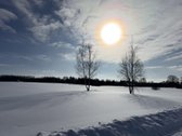 Namų valdos sklypas 95,03 arų su kokybiškai - nuotraukos Nr. 13