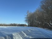 Namų valdos sklypas 95,03 arų su kokybiškai - nuotraukos Nr. 15