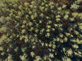 Bališkių sklypai – uždaras privačių sklypų - nuotraukos Nr. 6