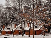 Parduodami kotedžai Turistų g. 20, Birštono mieste - nuotraukos Nr. 5