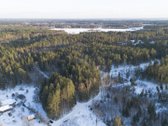 Parduodamas miškų ūkio sklypas Londono k. - nuotraukos Nr. 6